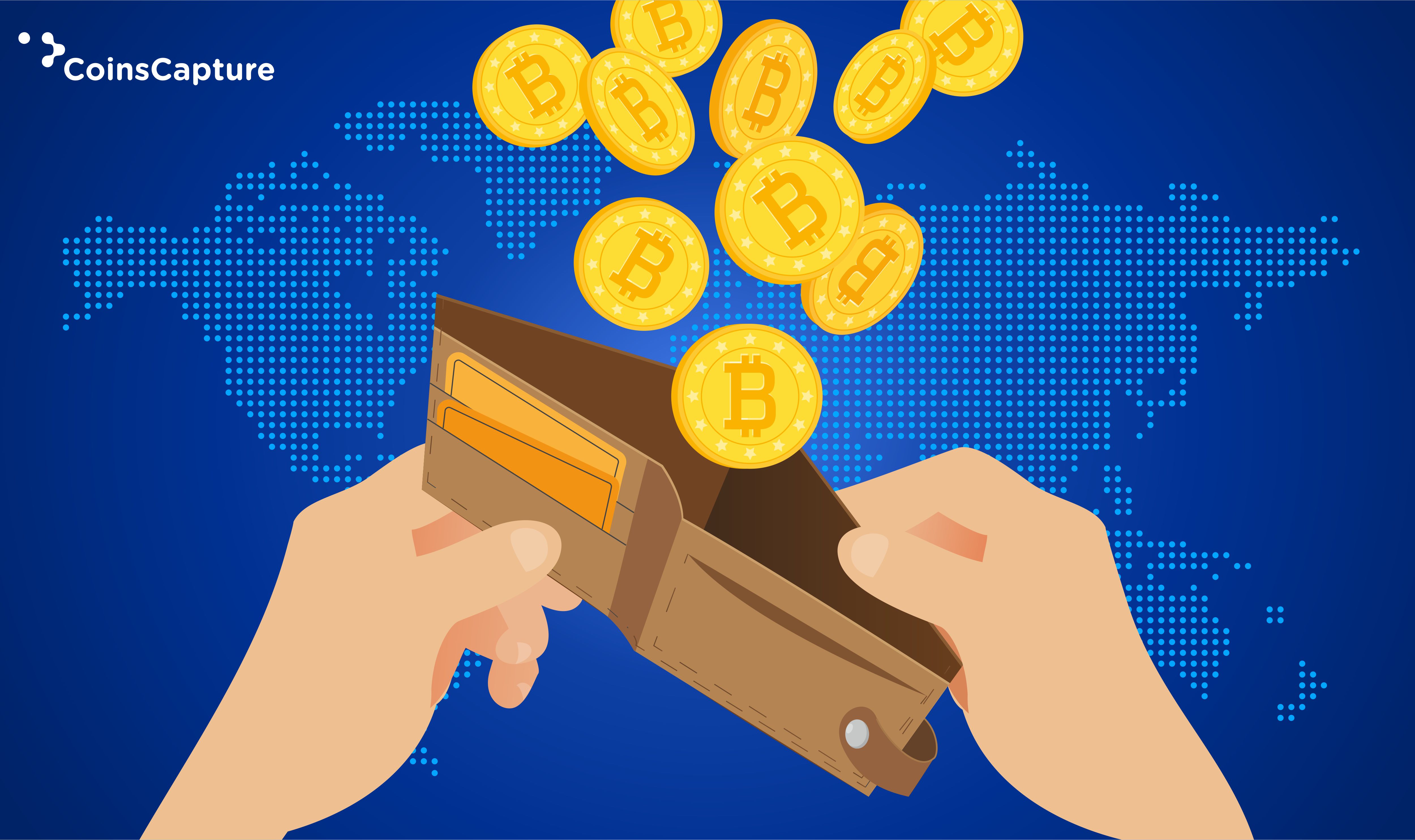 bitcoins vs bitcoin wallet