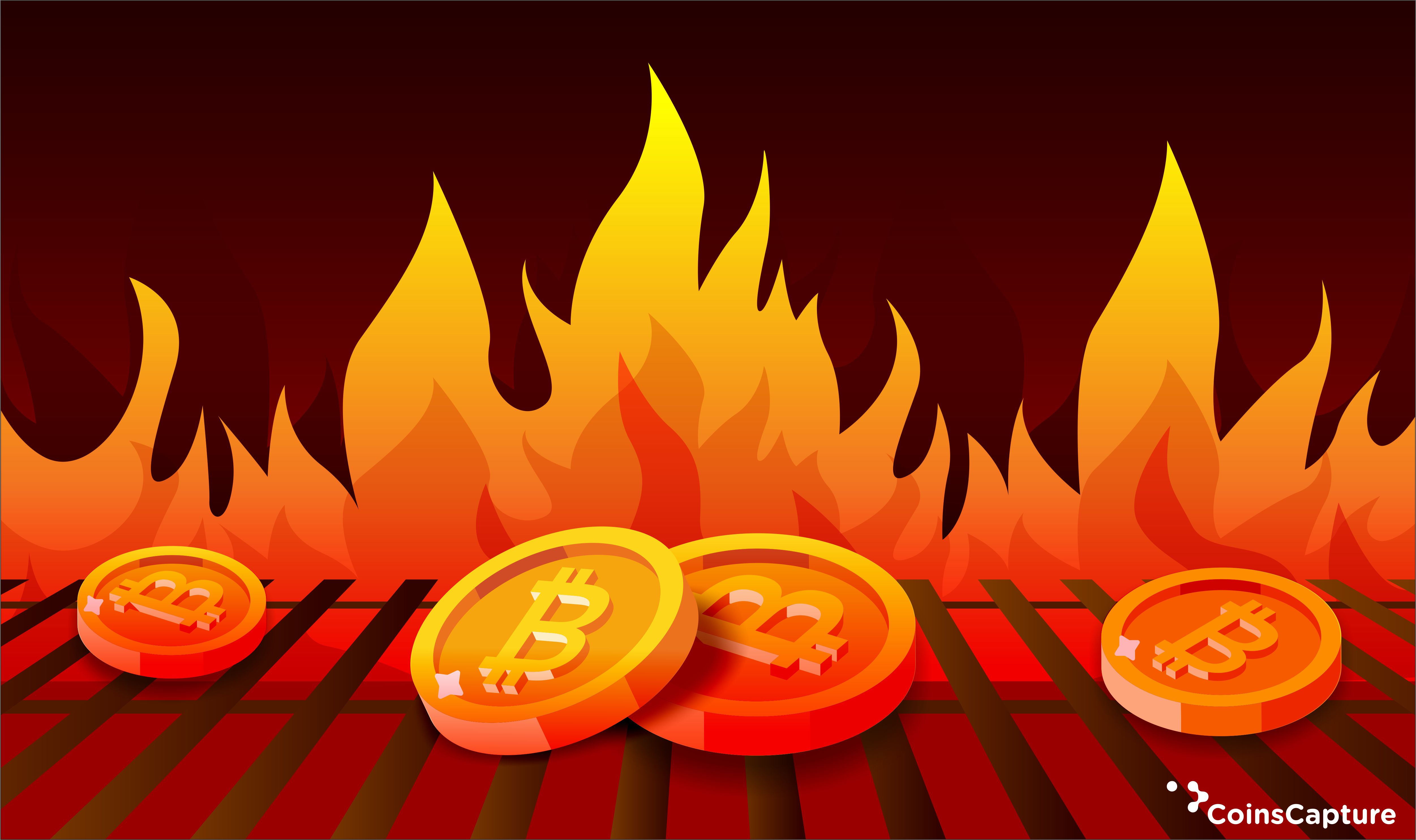 proof of burn crypto currency mining