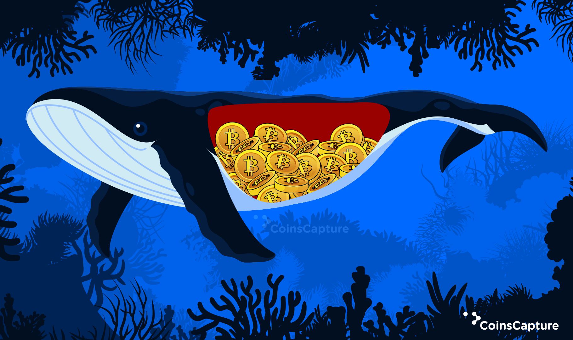 A Brief Understanding Of Crypto Whales