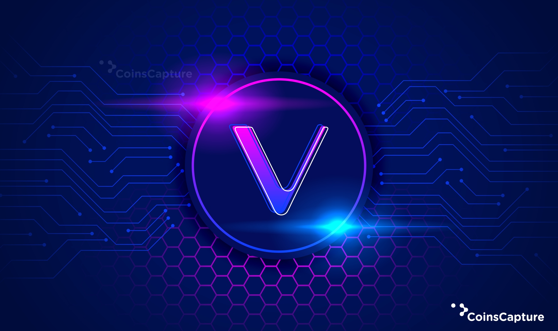 Everything You Need To Know About VeChain (VET)