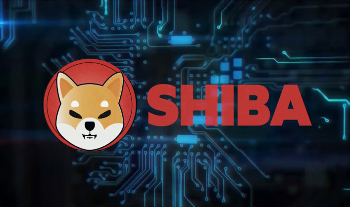 Purchasing of Shiba Inu Coin (SHIB) in India