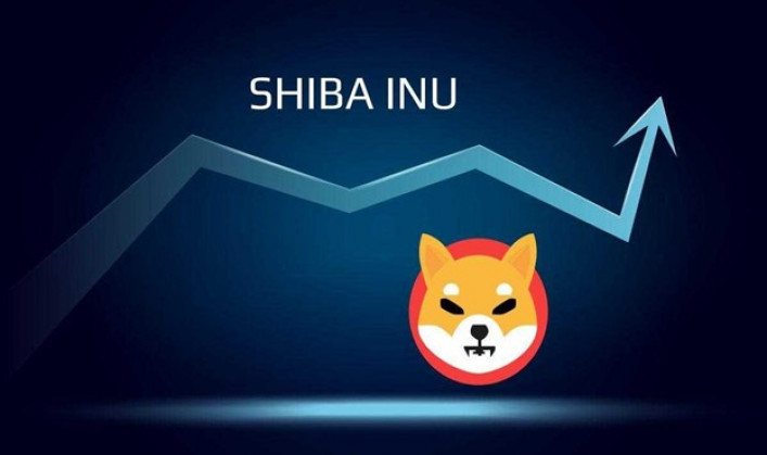 Shiba Inu's INU Price Surge: Is it a Good Investment in 2023?