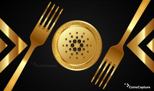 What is the Vasil Hard Fork in Cardano?