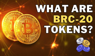 What Are BRC-20 Tokens? BRC 20 Tokens Explained