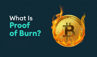 Unveiling the Potential of Proof of Burn (PoB) in Blockchain Technology