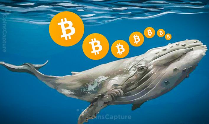Coins Capture - Cryptocurrency Trading Prices Today, Live Chart , Market Trades & Cap