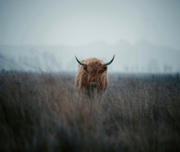 Coins Capture - Cryptocurrency Trading Prices Today, Live Chart , Market Trades & Cap